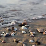 Flat With Common Pool In - Beahost * Bibione