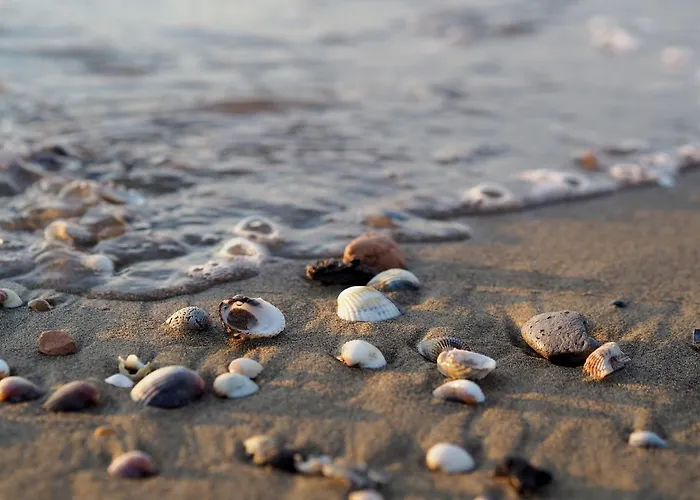 Flat With Common Pool In - Beahost * Бибионе